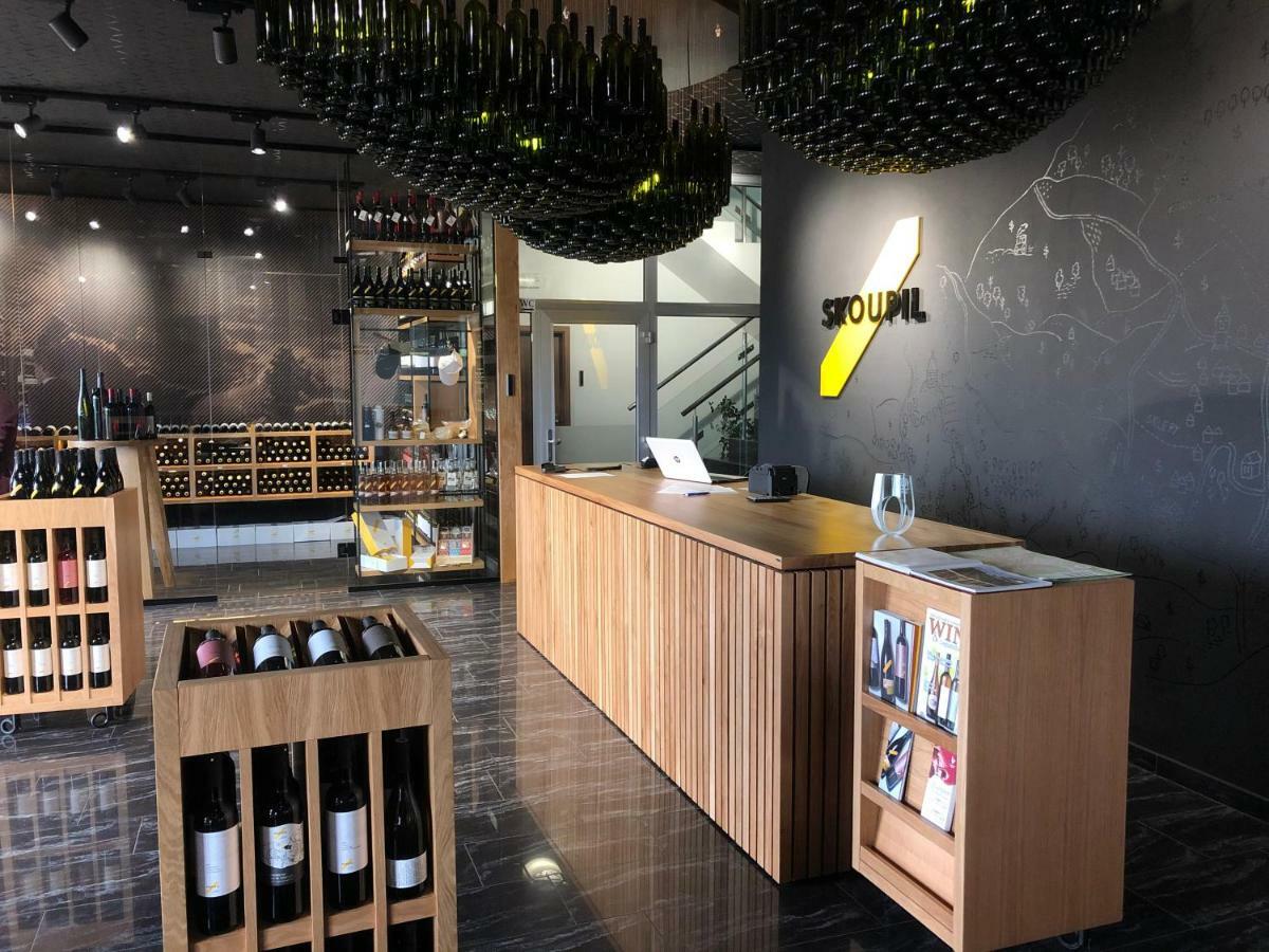 Rodinne Vinarstvi Skoupil Velké Bílovice エクステリア 写真